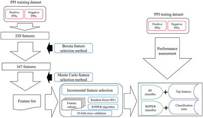 Investigation and Prediction of Human Interactome Based on Quantitative Features